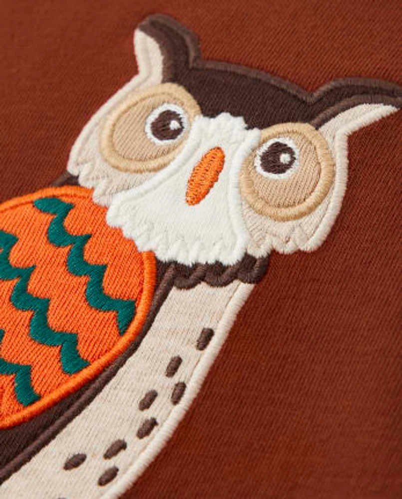 Boys Embroidered Owl Raglan Top - Autumn Harvest