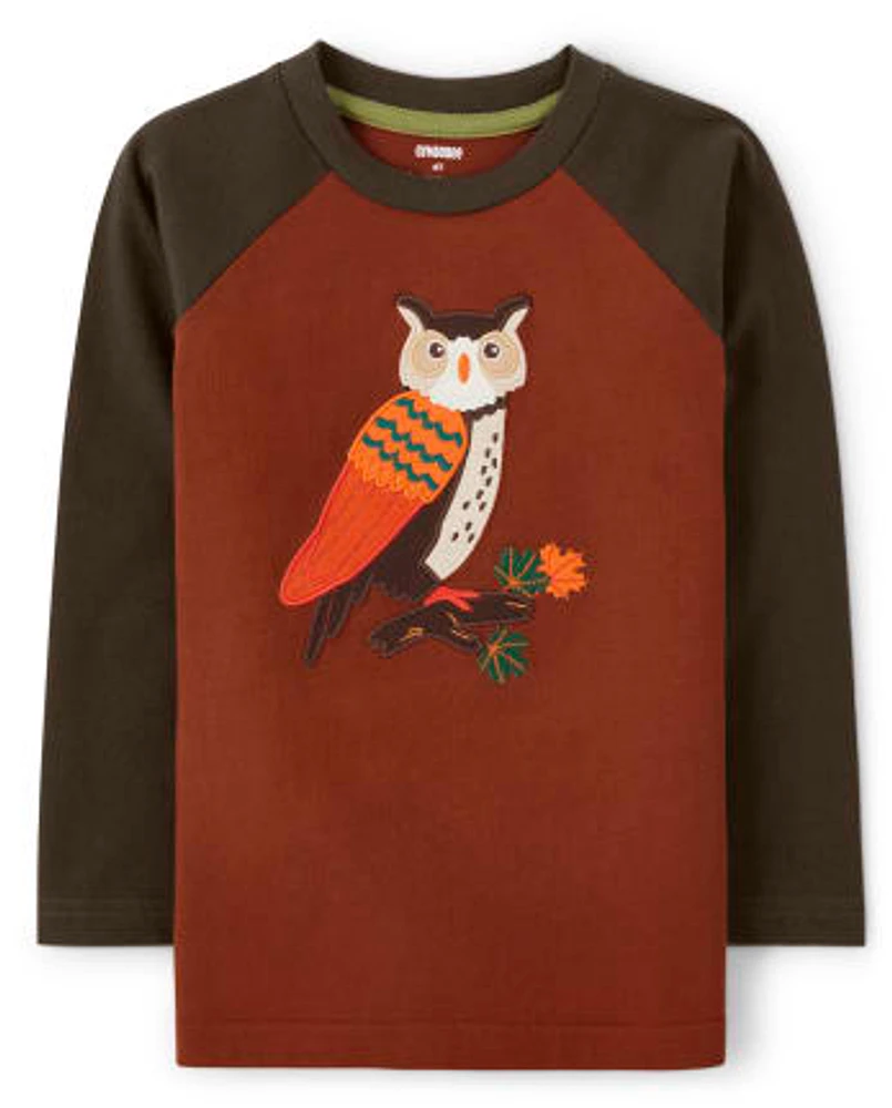 Haut raglan à motif hibou brodé pour garçon - Récolte d'automne