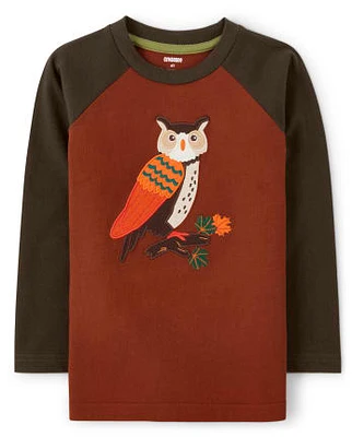 Boys Embroidered Owl Raglan Top - Autumn Harvest