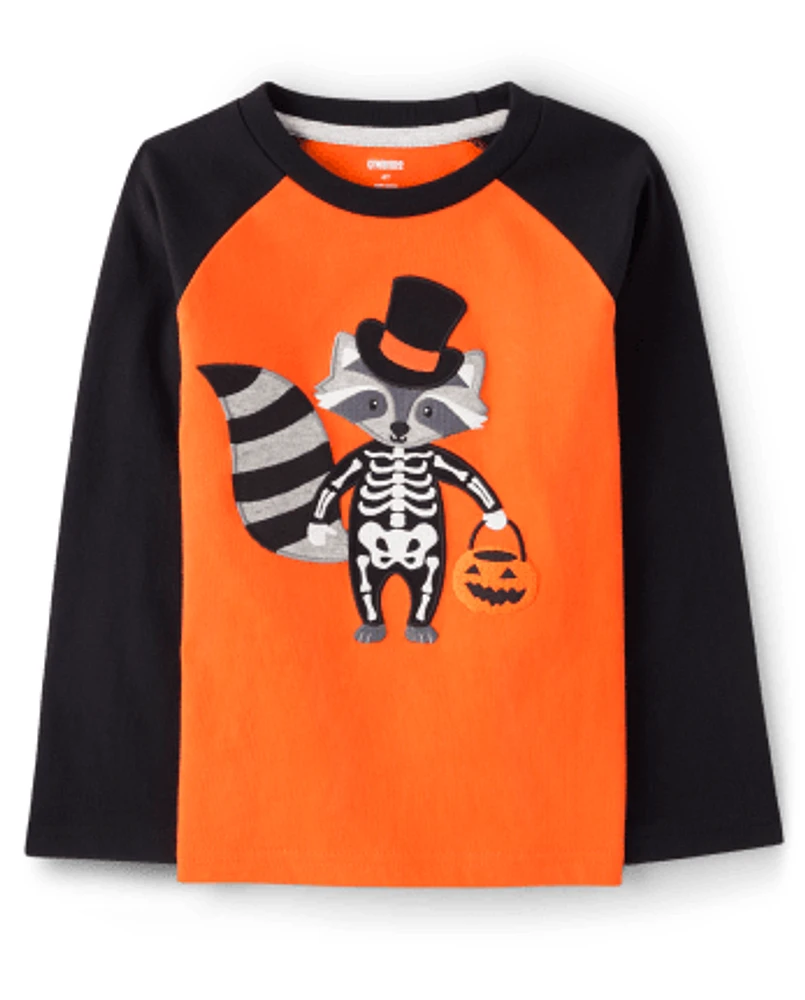 Boys Embroidered Raccoon Raglan Top - Trick or Treat