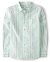 Mens Dad And Me Striped Poplin Button Up Shirt - Signs of Spring