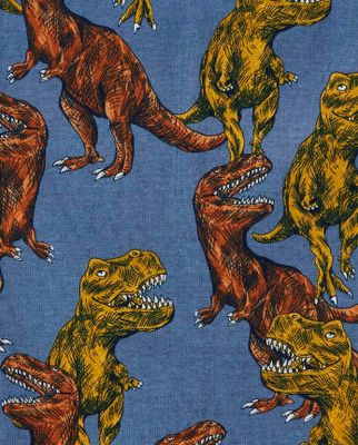 Boys Dino Snug Fit Cotton Pajamas 2-Pack - hudson bay