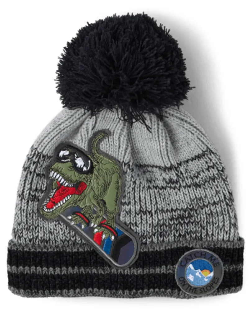 Boys Embroidered Dino Pom Beanie