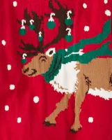 Baby And Toddler Boys Intarsia Reindeer Sweater