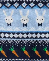 Boys Intarsia Bunny Sweater Vest