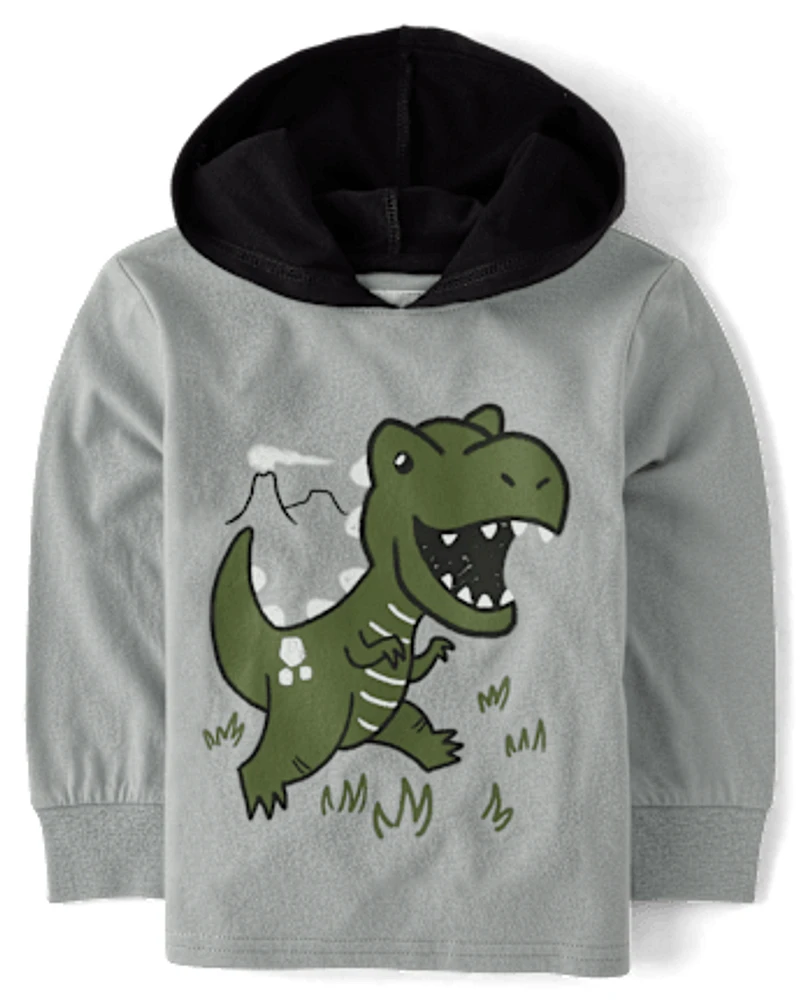 Baby And Toddler Boys Graphic Hooded Top