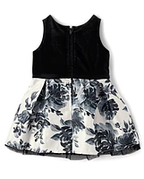 Toddler Girls Floral Velour Fit And Flare Dress