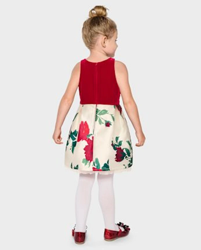 Baby And Toddler Girls Floral Velour Fit Flare Dress