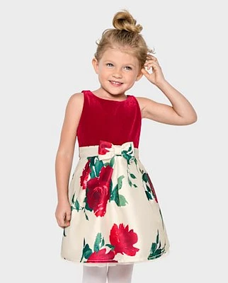 Baby And Toddler Girls Floral Velour Fit Flare Dress