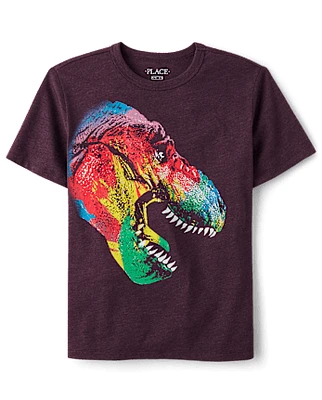 Boys Rainbow Dino Graphic Tee