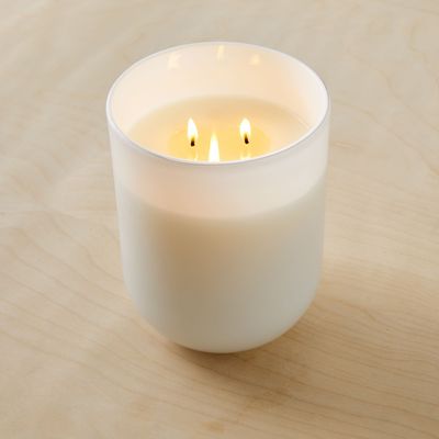 White Glass Candles - Marine Moss | West Elm