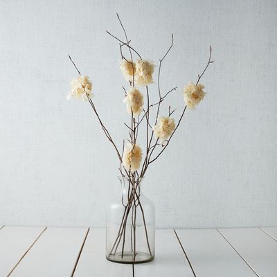 Beech Branch & Hydrangea Stems | West Elm