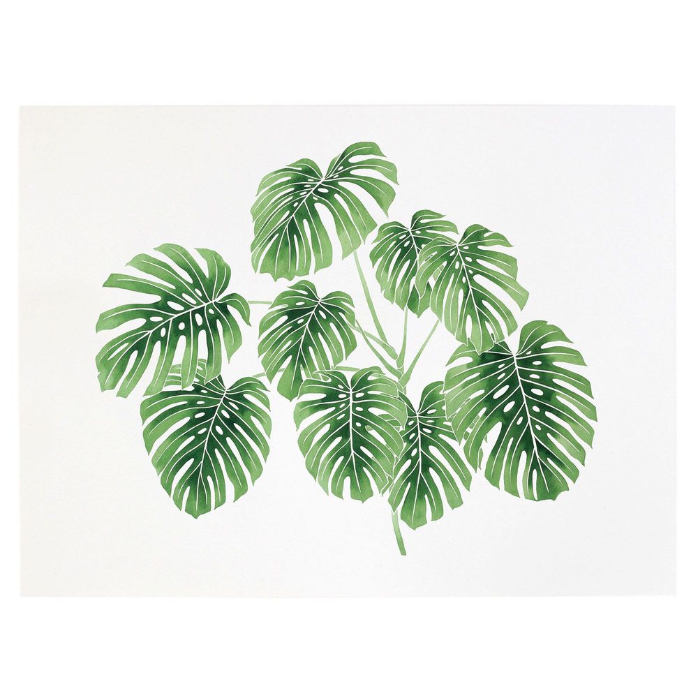 West Elm Living Pattern Framed Print - Monstera Deliciosa Cluster | West  Elm | Pike and Rose