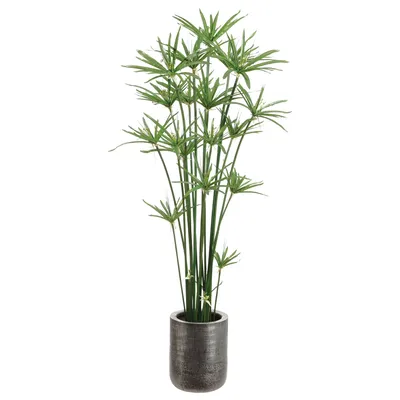Faux Potted Cypress Grass Tree w/ Planter | West Elm