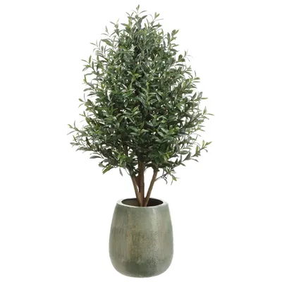 Faux Potted Olive Tree w/ Planter | West Elm