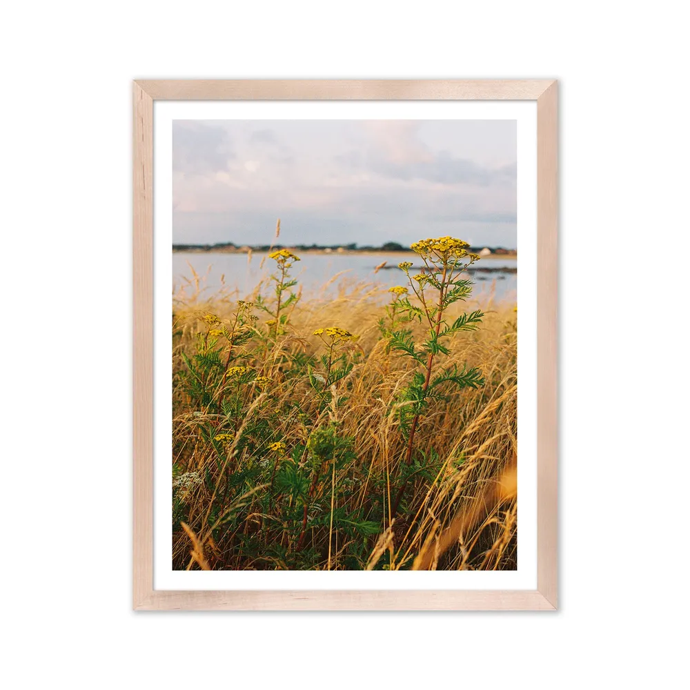 Golden Fields Framed Print by Morgan Ashley | West Elm
