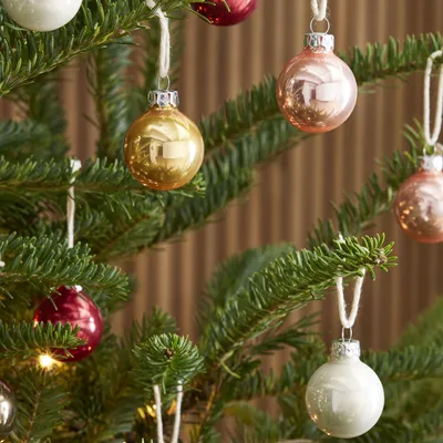 Pure Boxed Ornaments (Set of 25) | West Elm