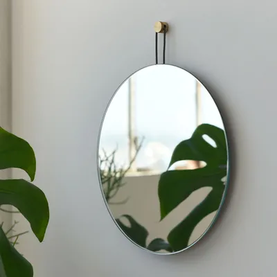Misewell Lure Wall Mirror | West Elm
