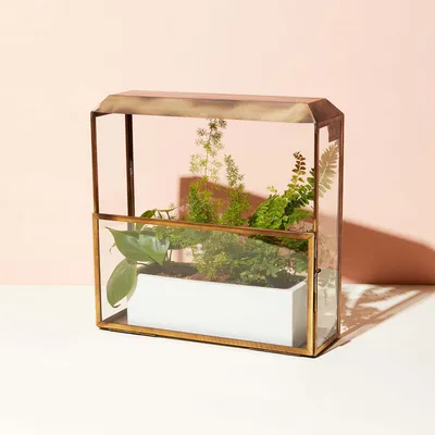 Modern Sprout Smart Growhouse | West Elm
