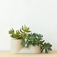 Misewell Ceramic Wall & Tabletop Planter - White | West Elm