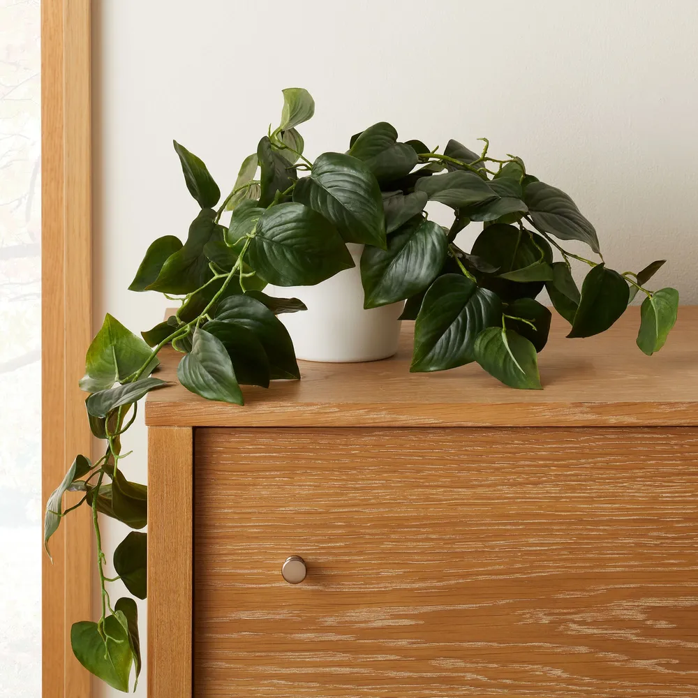 Faux Potted Green Philodendron Plant | West Elm