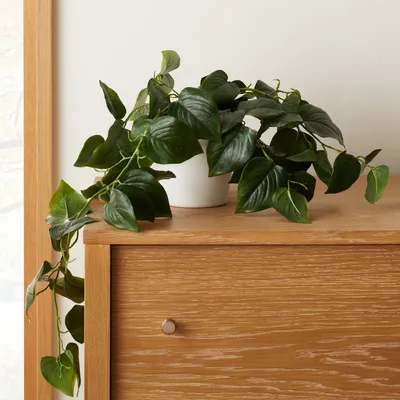 Faux Potted Green Philodendron Plant | West Elm