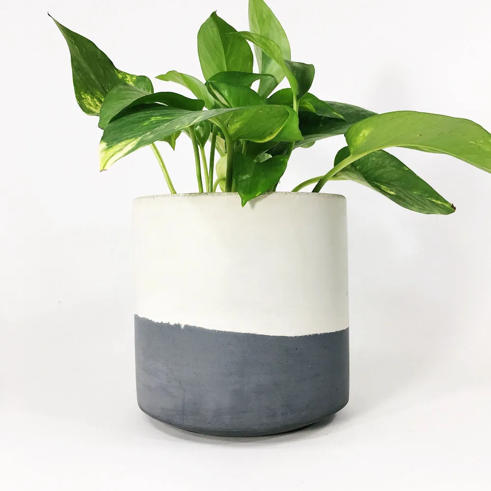 SETTLEWELL Straight-Sided Concrete Pot
