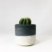 SETTLEWELL Straight-Sided Concrete Pot