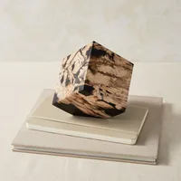Petrified Wood Cube | West Elm
