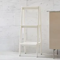 Modern Bath Ladder Storage | West Elm