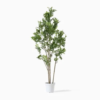 Faux Potted Green Leaf Tree | West Elm