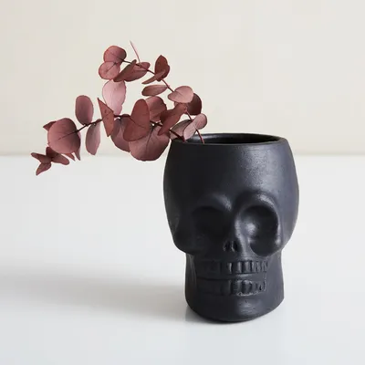 Terracotta Skull Vase | West Elm