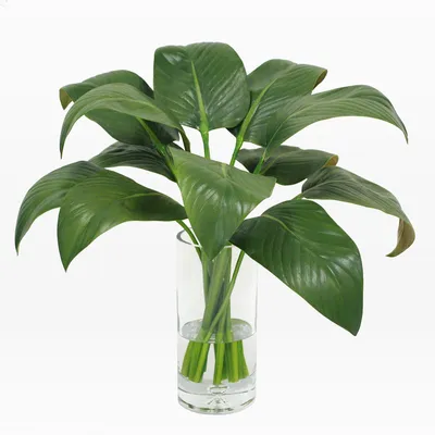 Faux Calla Leaf w/ Vase | West Elm