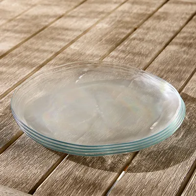 Organic Shaped Outdoor Acrylic Dinner Plate Sets | West Elm