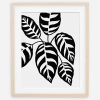 Living Pattern Framed Print - Calathea Leopardina | West Elm