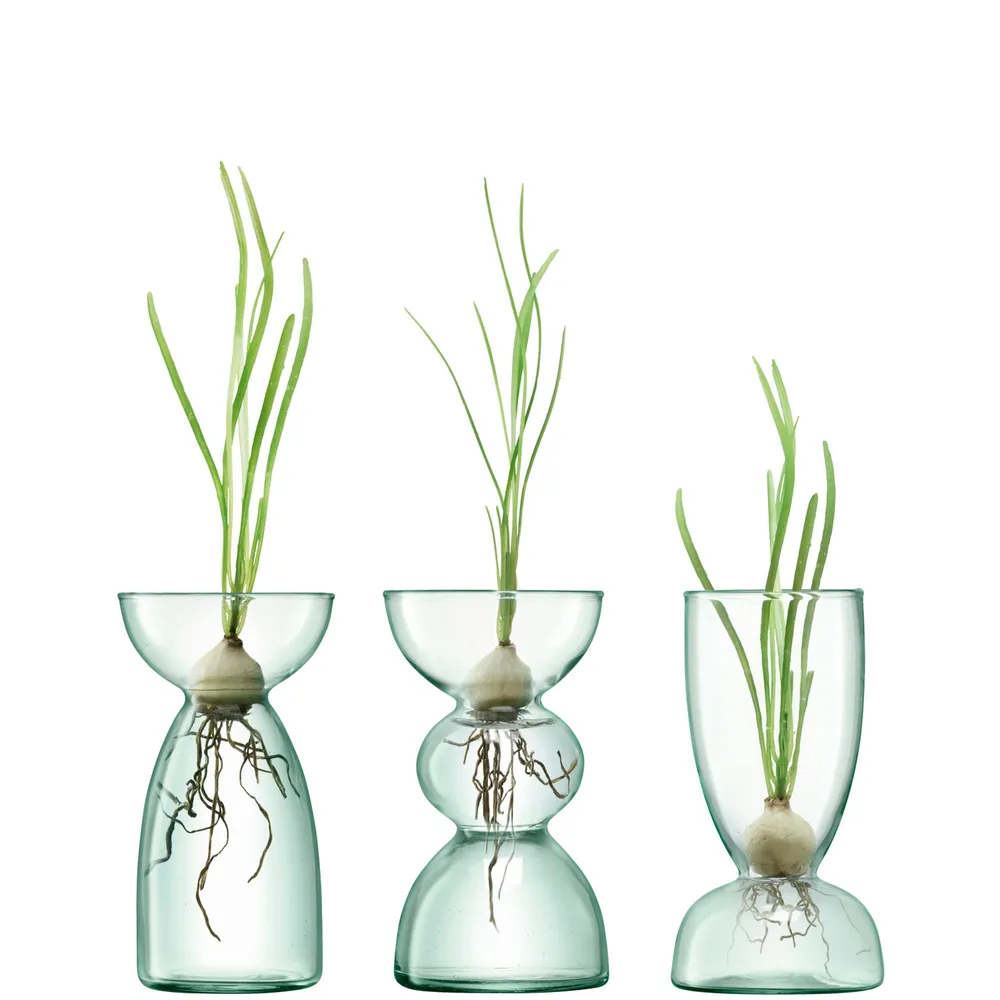 Canopy Trio 5" Recycled Glass Vases (Set of 3) | West Elm