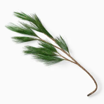 Faux Long Needle Pine Branch | West Elm
