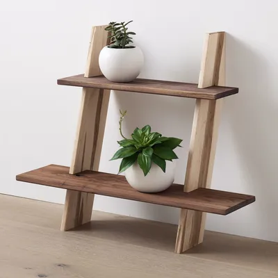 StoneWon Designs Co. Plant Display Stand | West Elm