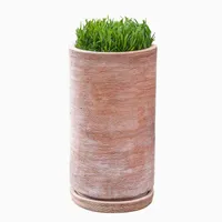 Sgraffitto Outdoor Planters | West Elm