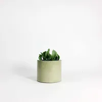SETTLEWELL Short Concrete Vase | West Elm