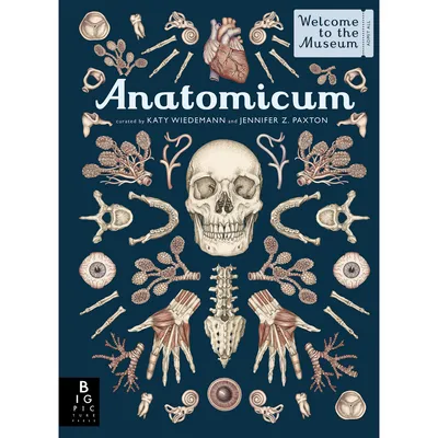 Anatomicum | West Elm