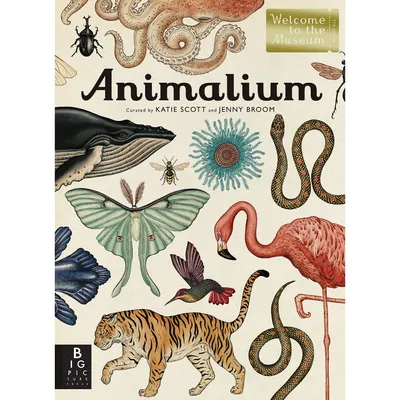 Animalium | West Elm