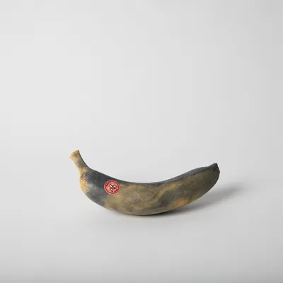 Pretti.Cool Banana | West Elm