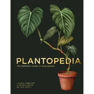 Plantopedia | West Elm