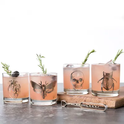 Counter Couture Spooky Whiskey Glass - Set of 4 | West Elm