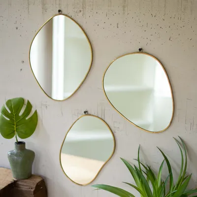 Brass Framed Organic Shaped Mirrors (Set Of 3) - 9"W x 11"H | West Elm