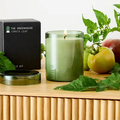 Field Kit - The Greenhouse Candle | West Elm