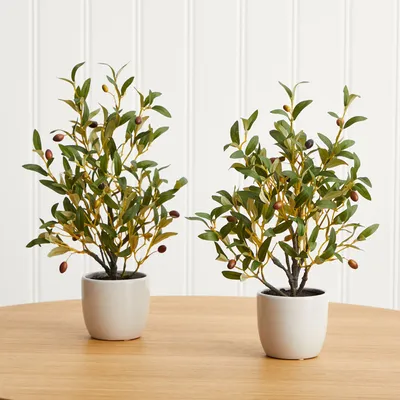 Faux Potted Tabletop Olive Tree - Set of 2 | West Elm