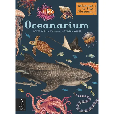 Oceanarium | West Elm