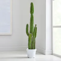Faux Potted Cactus Plant | West Elm